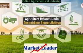 Agrochemical sector in India, Agrochemicals, Bayer CropScience, Cash conversion cycle, Coromandel International, Debt to Equity, Debtor Days, Fundamnetal Analysis of Agro-chemicals sector in India, Inventory turnover, PI Industries Stock Analysis, Quantitative Analysis, Quantitative Analysis of Agrochemicals sector in India, specialty chemicals, Sumitomo Chemical India, Top 5 Agrochemical companies in India, UPL, PI Industries Share, PI Industries Stock Rises, PI Industries Investors, PI Industries Share Price, Sensex, Nifty, UPL Ltd, Bayer CropScience, BASF India, Rallis India