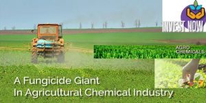 Insecticides (India) Limited, Domestic Crop Protection Companies, Next-Generation Crop Protection Products, Global Insecticide Market, Insecticides (India) Ltd, Insecticides, Herbicides, Fungicides, Biological, Plant Growth Regulators, Agro Chemical Companies, Insecticides India, Insecticides India share price, Stock Analysis, Stock Pick, Stocks, Trend analysis, Indian Agrochemical, Market Research, Fertilizers, Fertilizers Industry